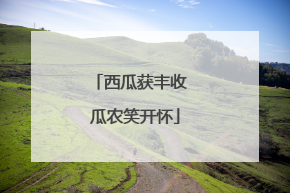 西瓜获丰收 瓜农笑开怀